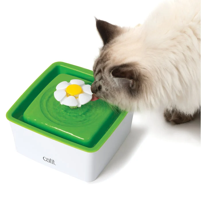 Bebederos pequeños para gatos