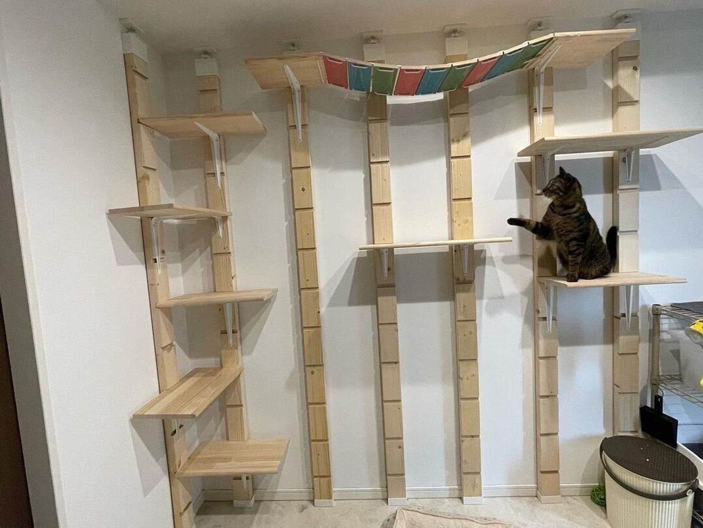 Gimnasios para gatos caseros