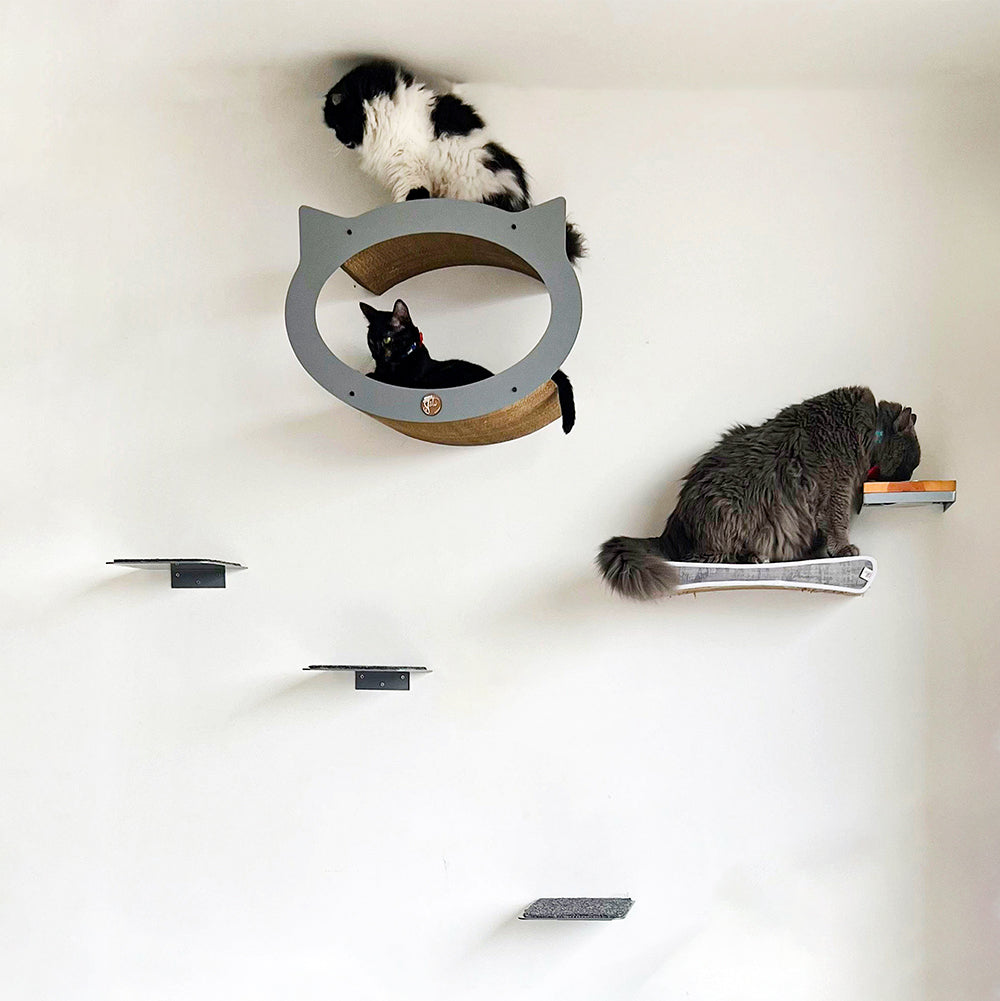 Gimnasios para gatos grandes