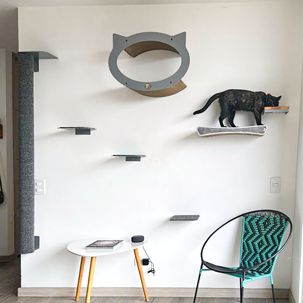 Gimnasios para gatos pequeños