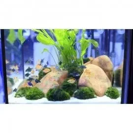 Arena Silice 10Kg Decorativaplantado Y Peces