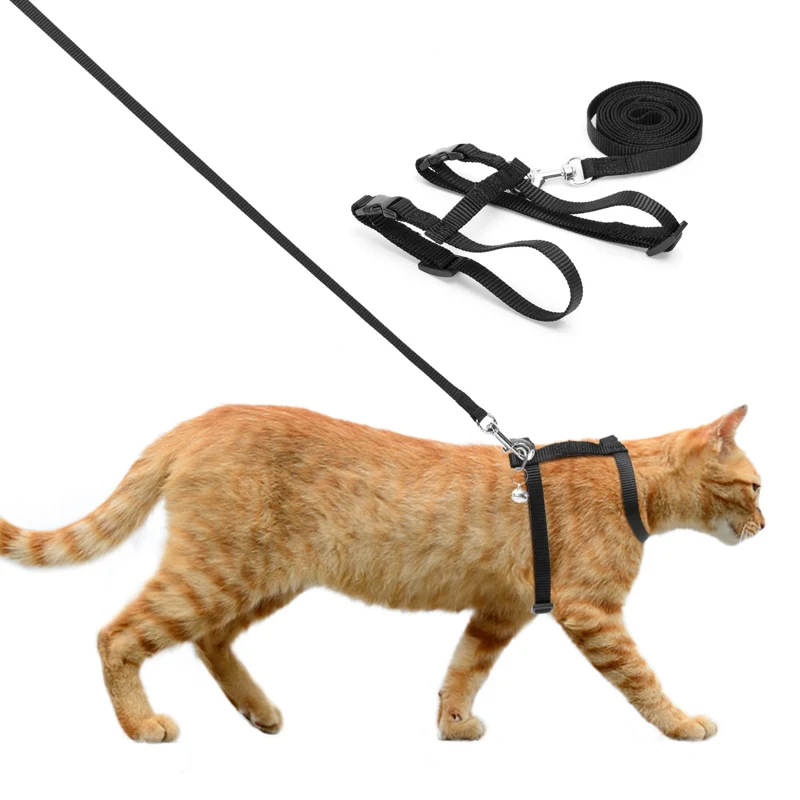 Arneses para gatos: precios