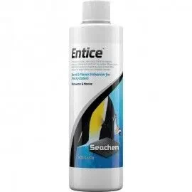 Entice 250 Ml