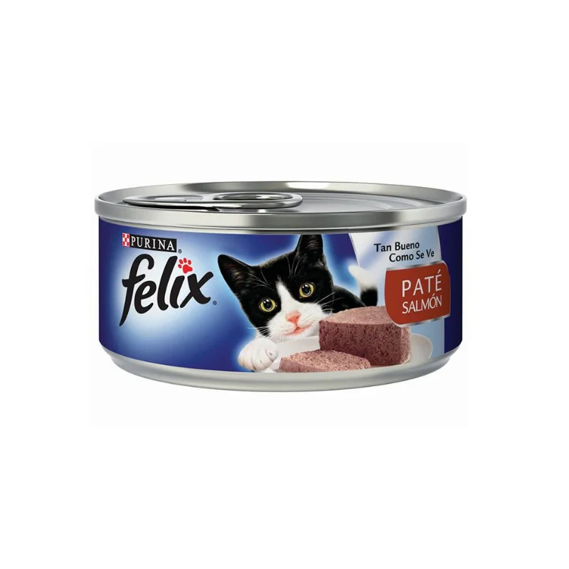 Felix Lata Paté Salmón
