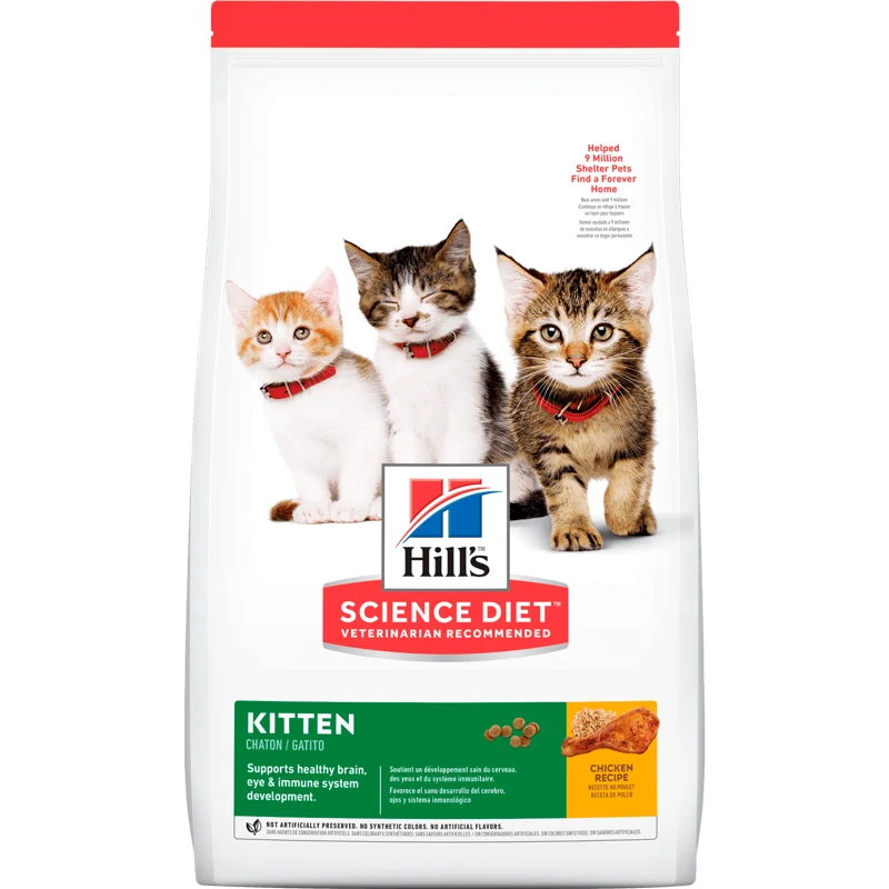 Hills Gato Kitten - Gatitos en Crecimiento