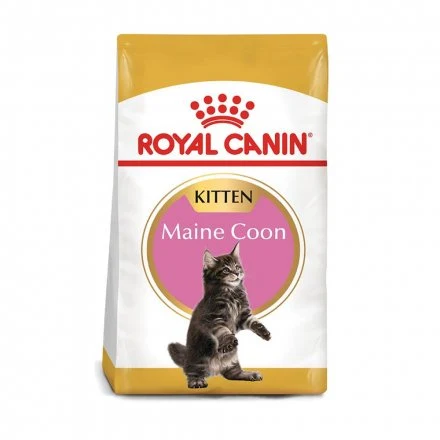 Concentrados para gatos Maine Coon