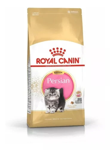 Royal Caninn Gato Persian Kitten