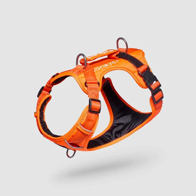 Arnés Felcan para Perro Talla L