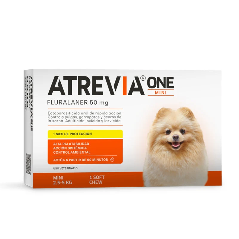Antigarrapatas para perros: precios y opciones económicas