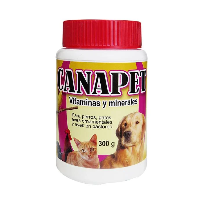 Vitaminas para perros: precios y opciones económicas
