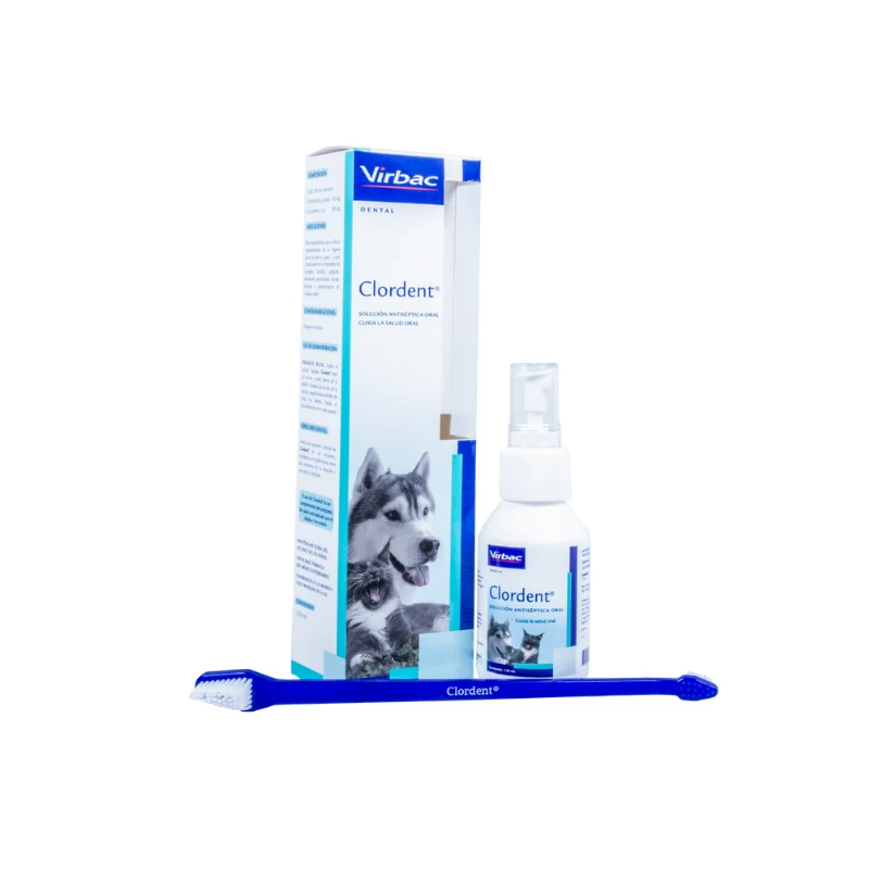 Higiene dental para perros