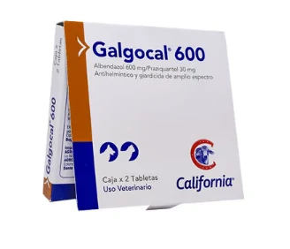 Galgocal 200 Oral Caja x 2 Tab