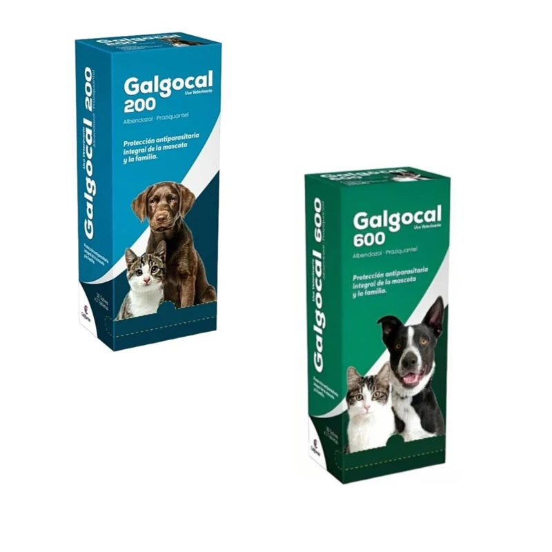 Antiparasitarios para gatos: precios