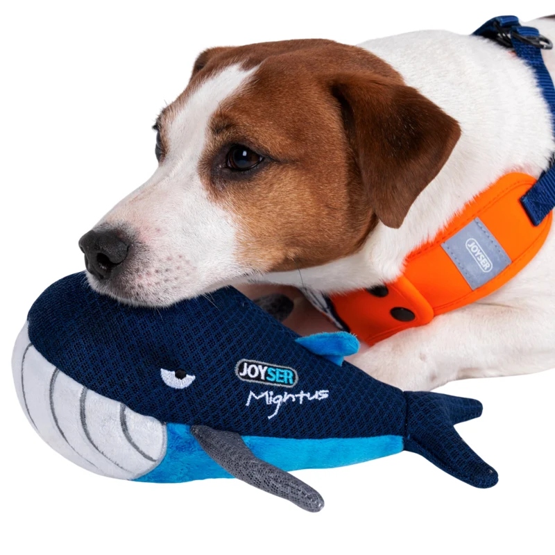 Peluche Ballena Joyser Migthus