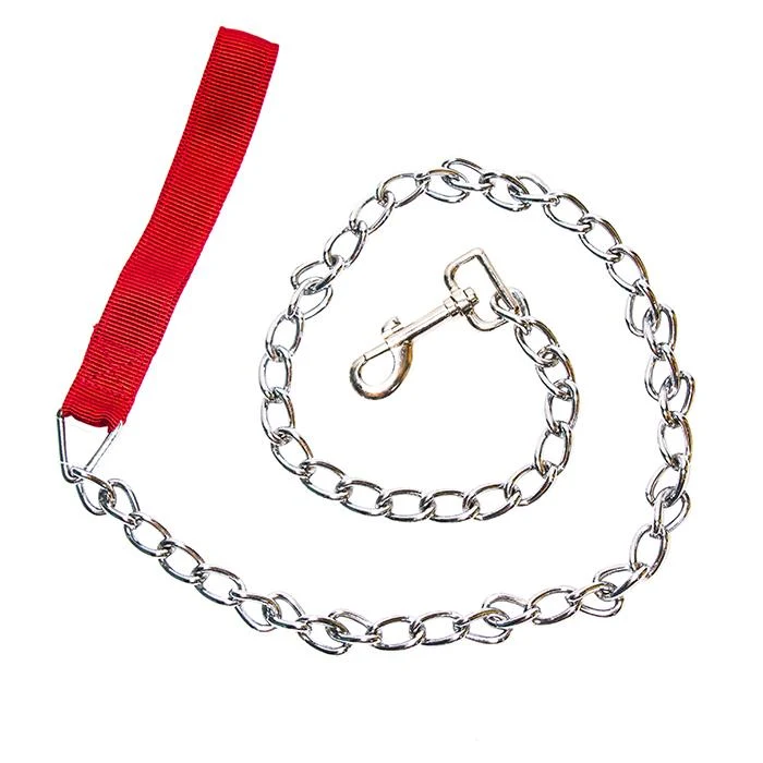 Correas de nylon para perros